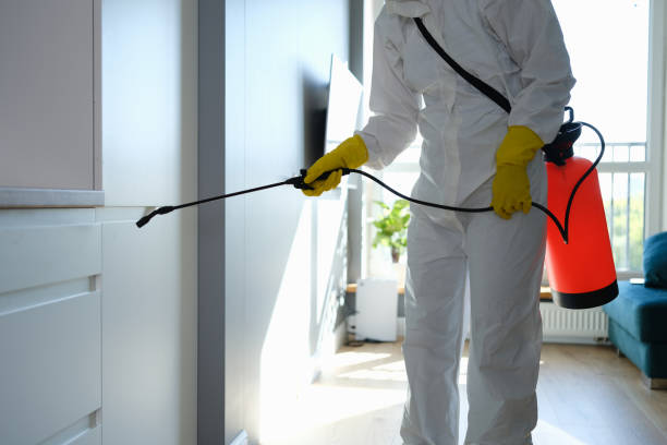 Office Mold Removal Services in Idalou, TX
