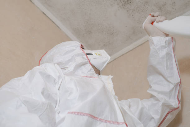 Best Crawl Space Mold Removal  in Idalou, TX