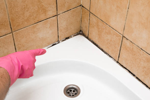 Best Local Mold Removal Service  in Idalou, TX